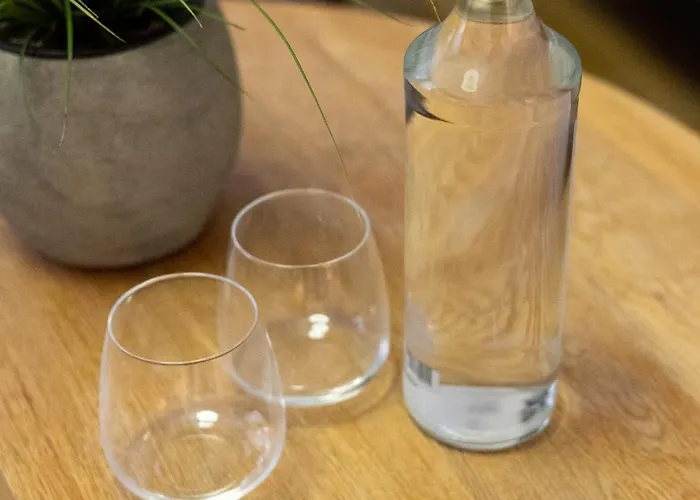 Luxury 12-3 Appartement *