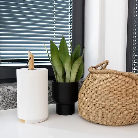 Luxury 12-3 Apartment Plowdiw